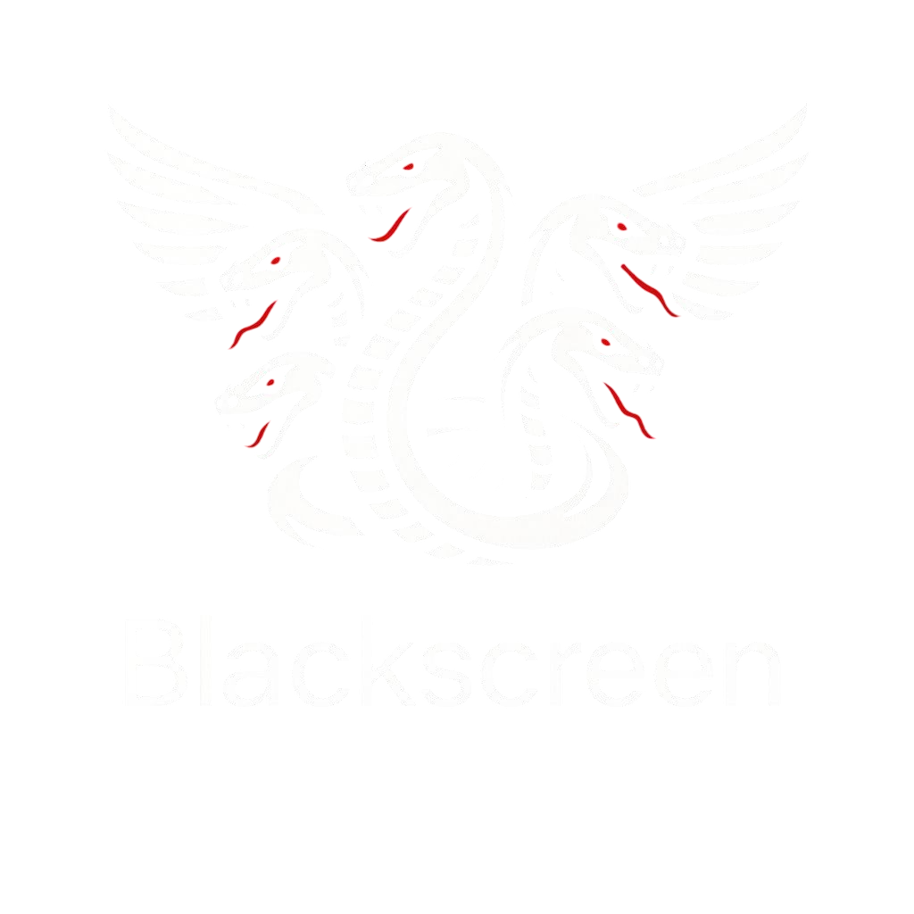 BlackScreenTool Logo
